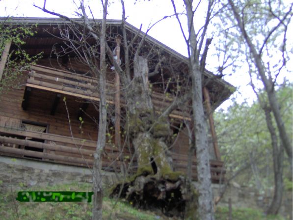 Chalet